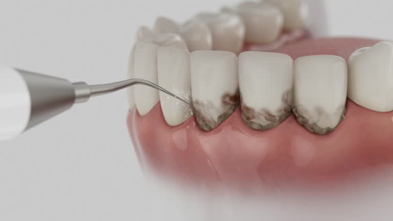 Reliable Dental contractor in Inverness, CA by Dentist Open Now